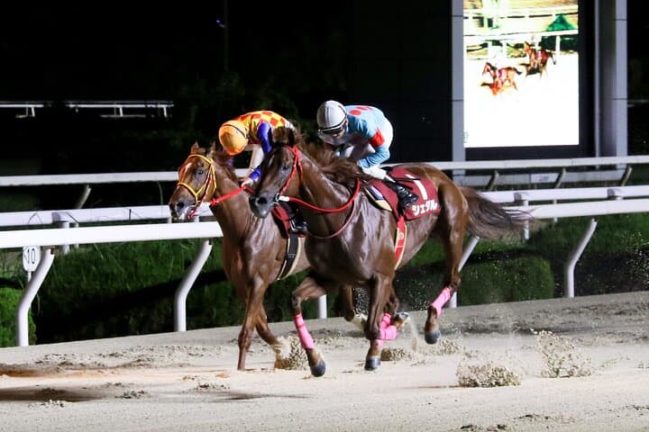 Amagasaki Retro Tour: Showa era-style bar & horse race experience — photo 4