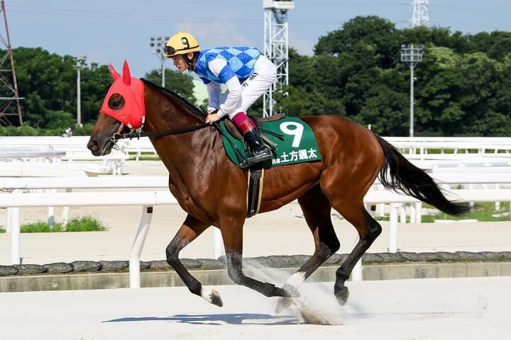 Amagasaki Retro Tour: Showa era-style bar & horse race experience — photo 14