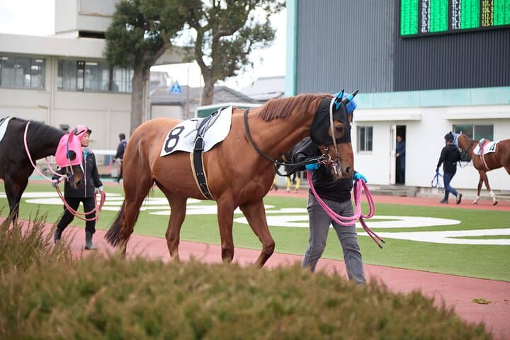 Amagasaki Retro Tour: Showa era-style bar & horse race experience — photo 6
