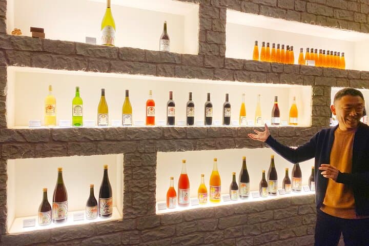 Explore Osaka with Wine Class and Tasting Experience — photo 4