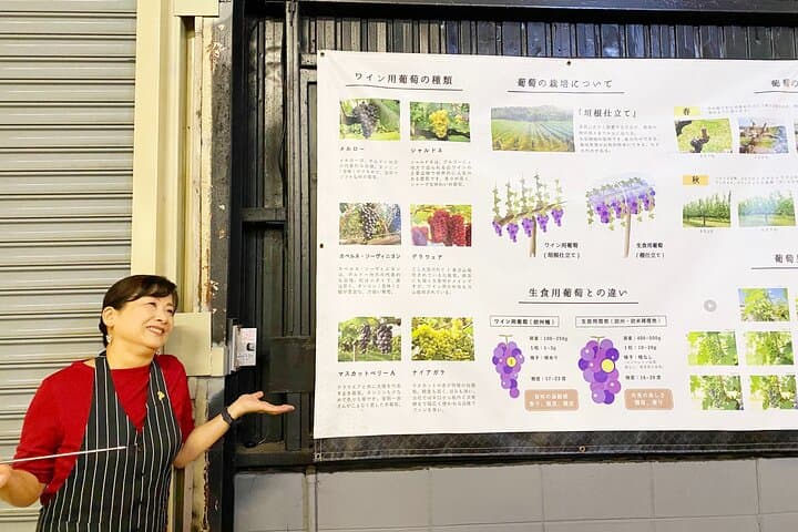 Explore Osaka with Wine Class and Tasting Experience — photo 5