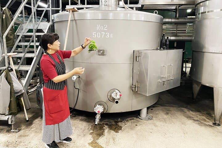 Explore Osaka with Wine Class and Tasting Experience — photo 6