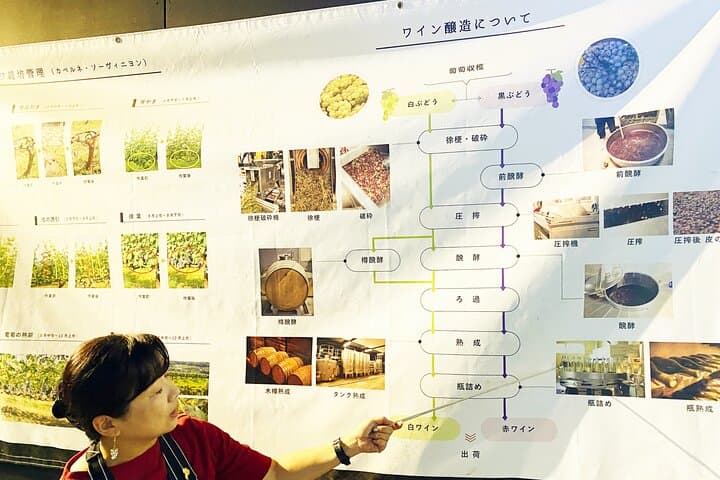Explore Osaka with Wine Class and Tasting Experience — photo 7