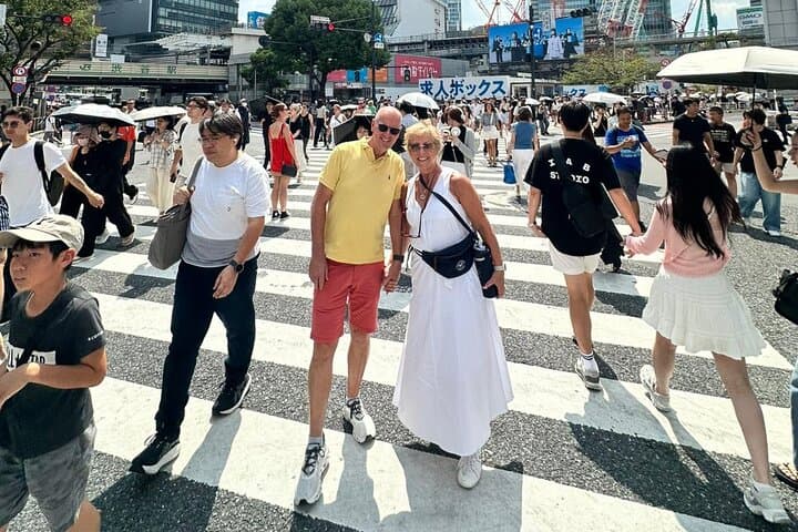 Tokyo Private Full-Day Tour by Car or Van — photo 20