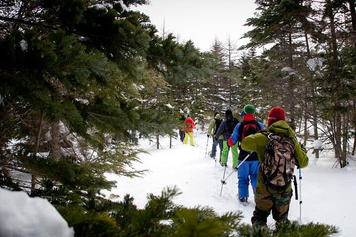 Japan Alps Norikura Frozen Water Fall Snowshoe Trekking Tour — photo 6