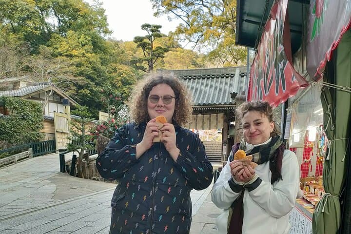 Temple Paths and Manga Dreams — photo 9