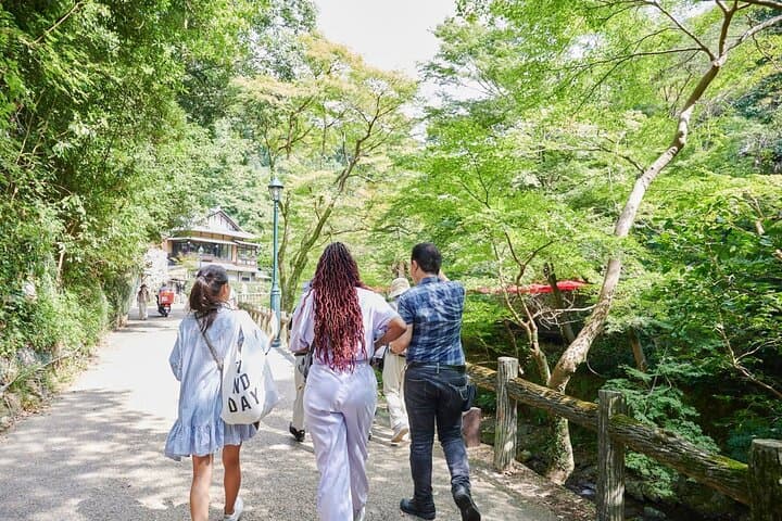 Minoh Waterfall Hike and Minosan Ryuanji Walking Tour in Osaka — photo 2