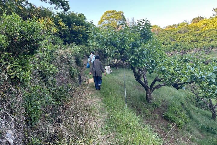 Village to village walk: Japan's oldest road, Yamanobe ancient trail (Private) — photo 7