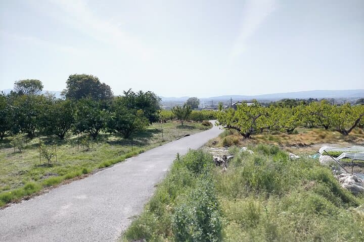 Village to village walk: Japan's oldest road, Yamanobe ancient trail (Private) — photo 9