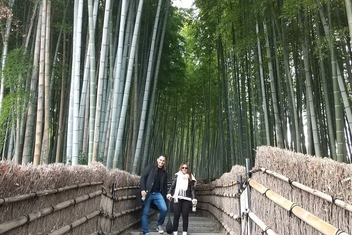 Kyoto: Arashiyama Tenryuji Temple, Bamboo Grove, and Monkeys Tour — photo 8