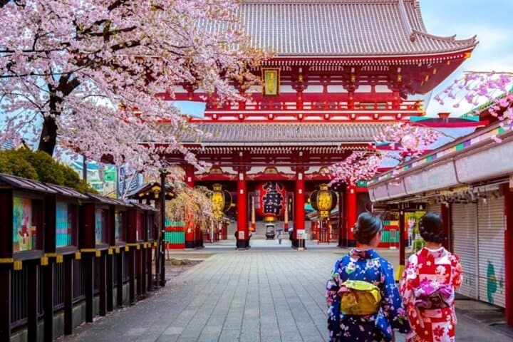 9 Day Best of Japan Cherry Blossom Small Group Tour 2026 — photo 1