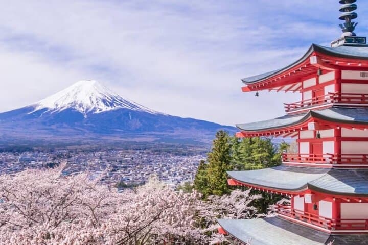 9 Day Best of Japan Cherry Blossom Small Group Tour 2026 — photo 4