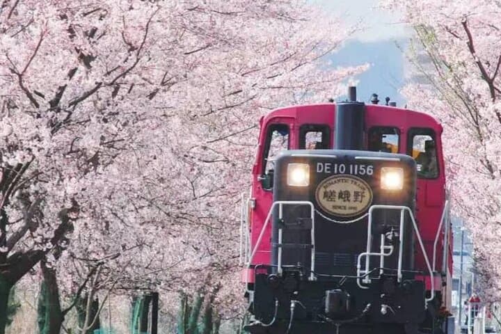 Explore Japan in 7 Days Cherry Blossom Tour 2026 — photo 1