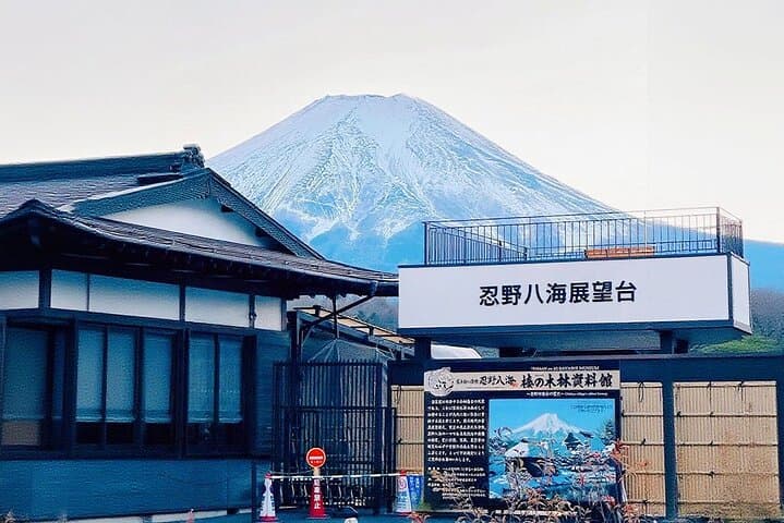 Mt. Fuji Tour Historic Village，Kawaguchiko Ropeway and Matcha — photo 16
