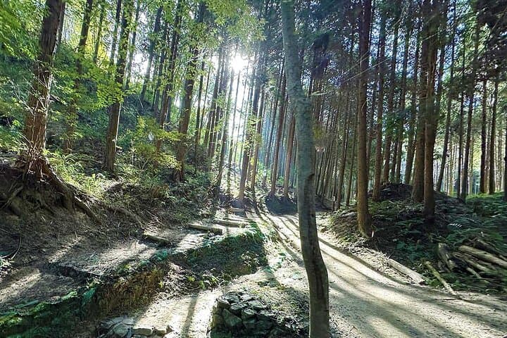 Private Guided Mt. Kunimi Trek — photo 4