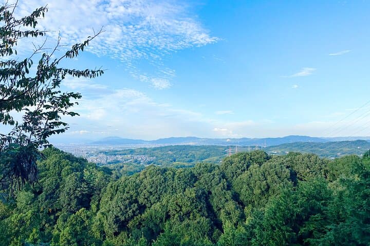 Private Guided Mt. Kunimi Trek — photo 5