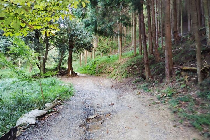 Private Guided Mt. Kunimi Trek — photo 9