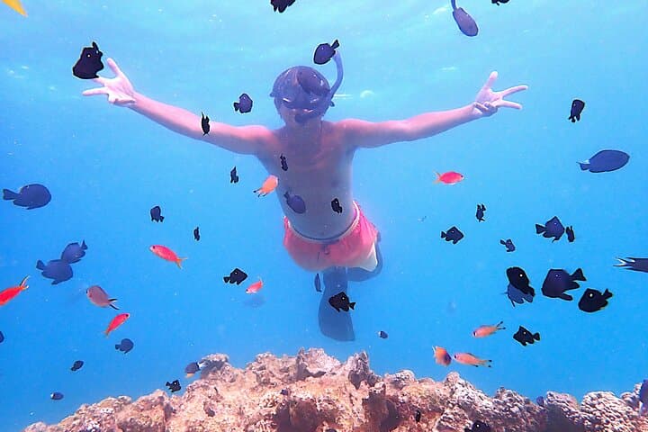 Sea Turtle Snorkel Tour to Swim with Corals and Fish on Ishigaki Island～ — photo 5