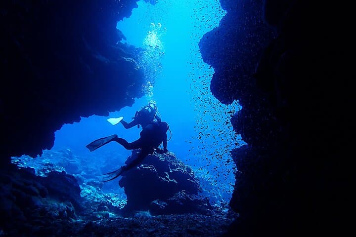 【Okinawa Post-Ishigaki Island / Sea Turtle】 Diving for 2 persons only - Novices / No License Available - — photo 4