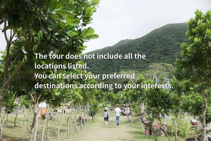 Private FullDay Ishigaki Tour with English Guide & Photo Memories — photo 16