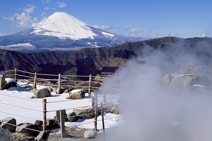 Mt. Fuji and Hakone Day Tour with Bullet Train Return — photo 11