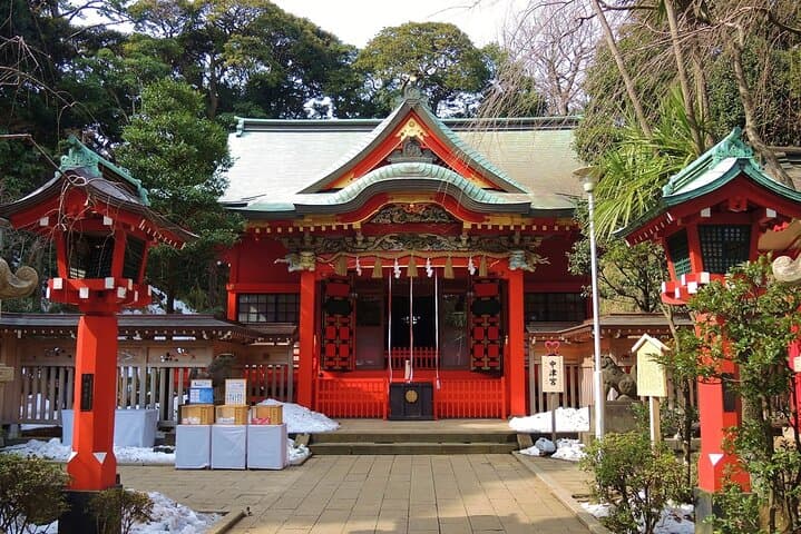 Mt. Fuji Hakone and Kamakura Day Tour: Cruise/Ropeway/island — photo 14