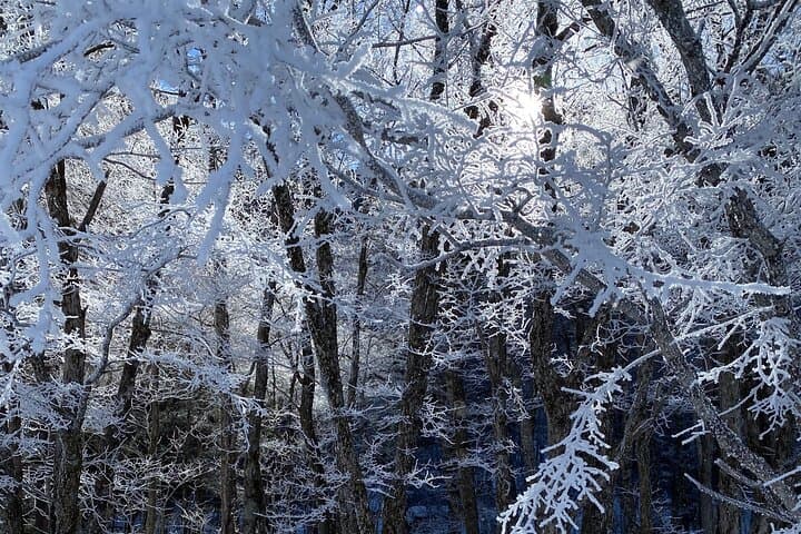 Japan Alps Kamikochi Taisho Pond Snowshoe Trekking Tour — photo 4