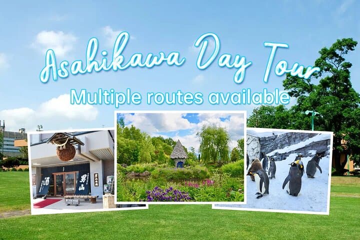 Japan Hokkaido Asahikawa Private Tour（Depart from Sapporo）