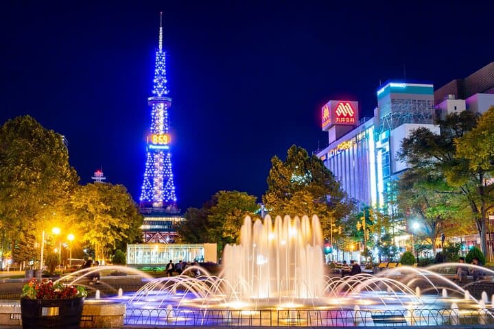 Sapporo: TV Tower Observatory & Illuminated Landmarks Night Tour — photo 4