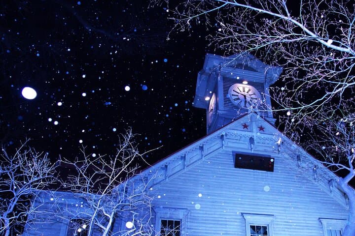Sapporo: TV Tower Observatory & Illuminated Landmarks Night Tour — photo 14