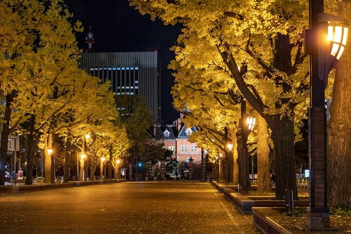 Sapporo: TV Tower Observatory & Illuminated Landmarks Night Tour — photo 11