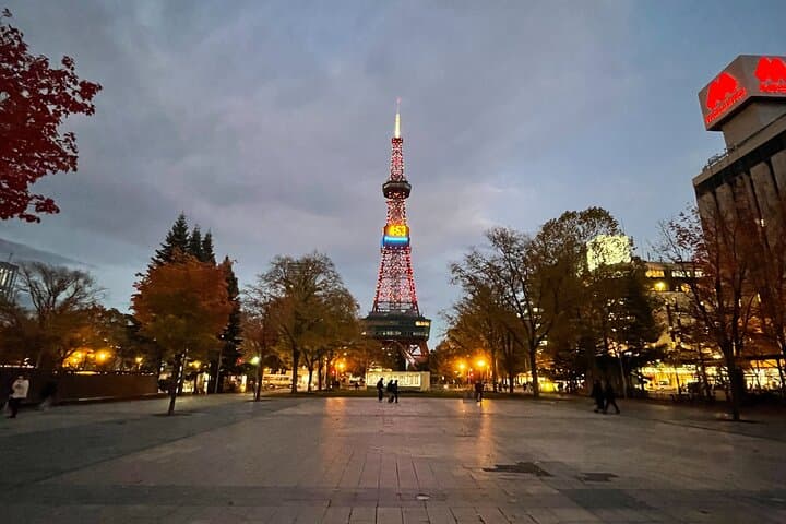Sapporo: TV Tower Observatory & Illuminated Landmarks Night Tour — photo 12