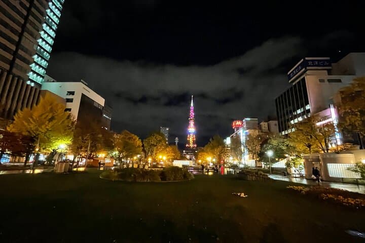 Sapporo: TV Tower Observatory & Illuminated Landmarks Night Tour — photo 13