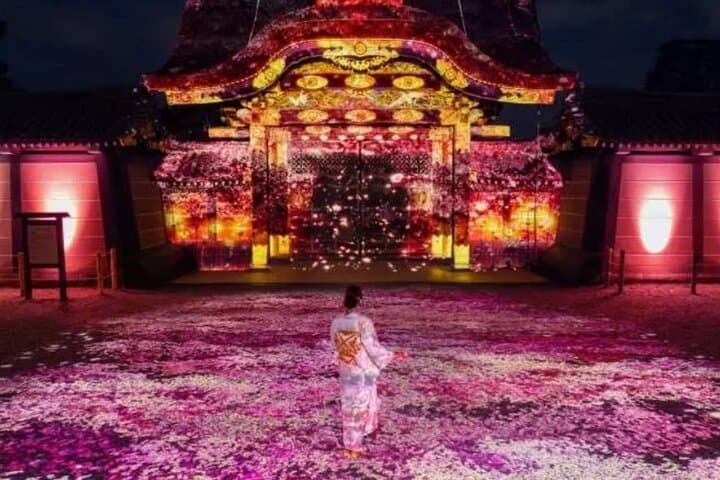 Explore Japan in 7 Days Cherry Blossom Tour 2026 — photo 9