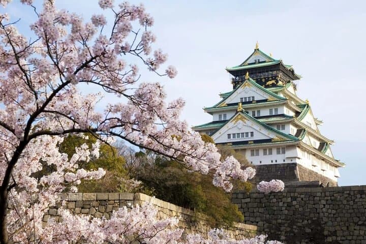 9 Day Best of Japan Cherry Blossom Small Group Tour 2026 — photo 12