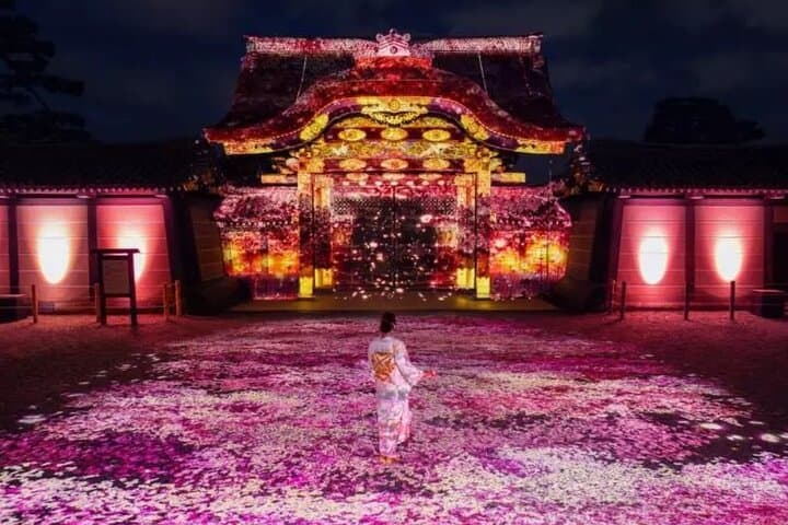 9 Day Best of Japan Cherry Blossom Small Group Tour 2026 — photo 6