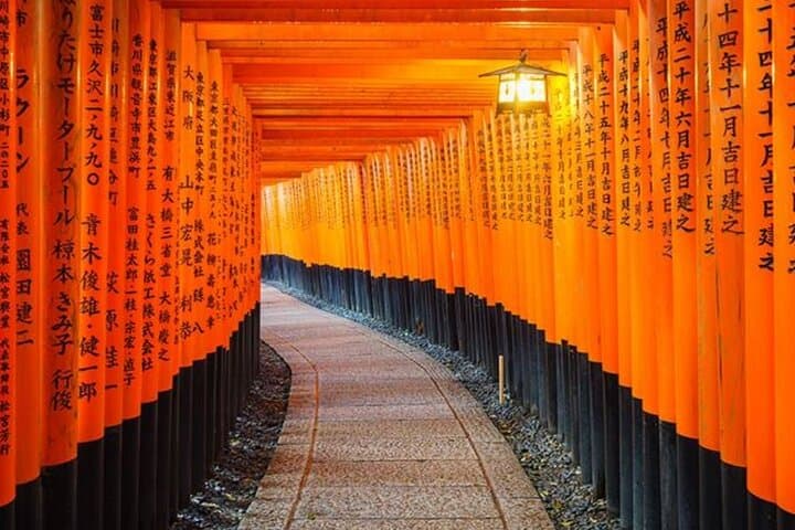 9 Day Best of Japan Cherry Blossom Small Group Tour 2026 — photo 10