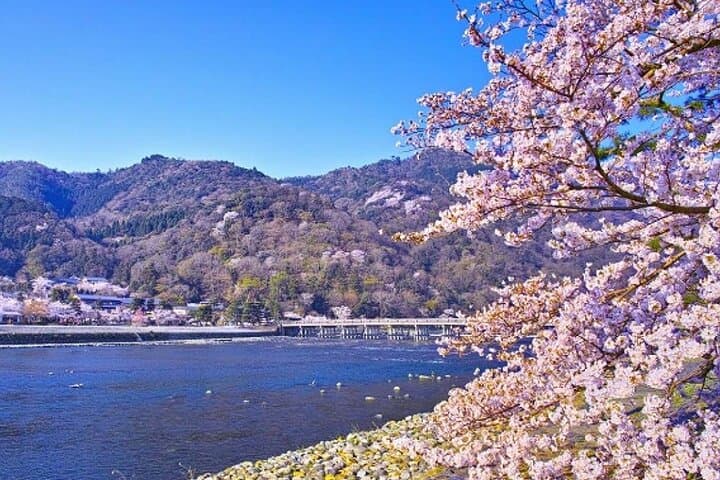 9 Day Best of Japan Cherry Blossom Small Group Tour 2026 — photo 9