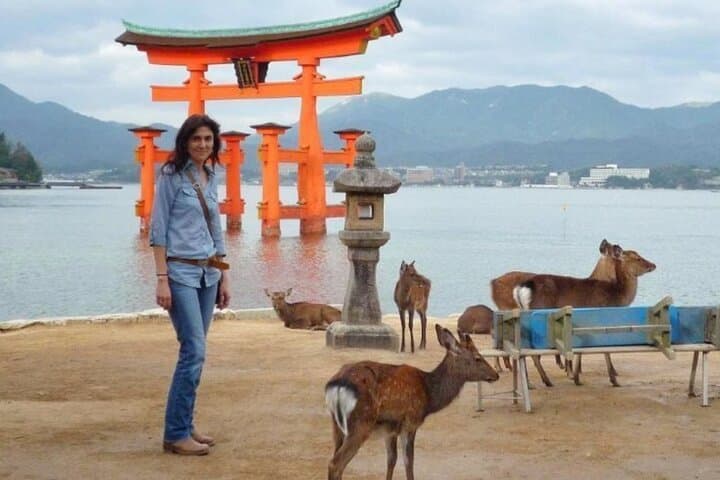 8 Days Best Of Japan Family Small Group — photo 15