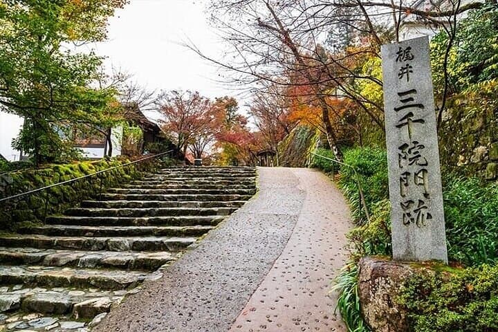 Kyoto Sansen-in Arashiyama Train 1 Day Tour from Osaka or Kyoto — photo 2