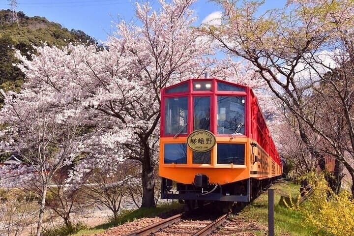 Kyoto Sansen-in Arashiyama Train 1 Day Tour from Osaka or Kyoto — photo 3