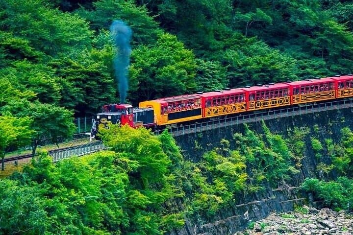 Kyoto Sansen-in Arashiyama Train 1 Day Tour from Osaka or Kyoto — photo 4