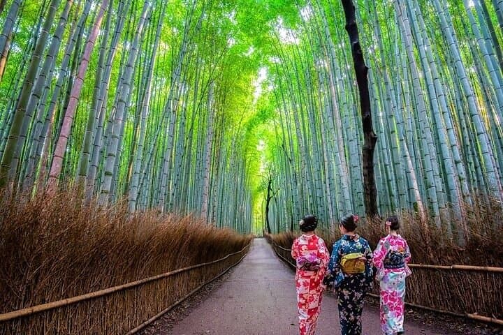 Kyoto Sansen-in Arashiyama Train 1 Day Tour from Osaka or Kyoto — photo 5