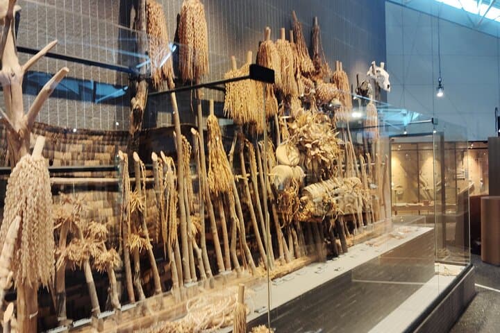 Hokkaido: Explore Living Ainu Traditions in Nibutani — photo 9
