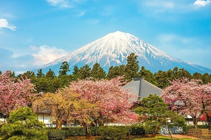Mount Fuji 5th Station, Arakurayama, Oshino Hakkai and Hot Spring — photo 2