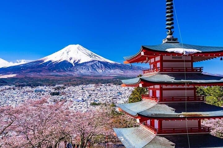 Mount Fuji 5th Station, Arakurayama, Oshino Hakkai and Hot Spring — photo 4