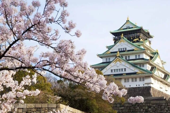 9 Days In Depth Cultural Japan Small Group Tour — photo 10