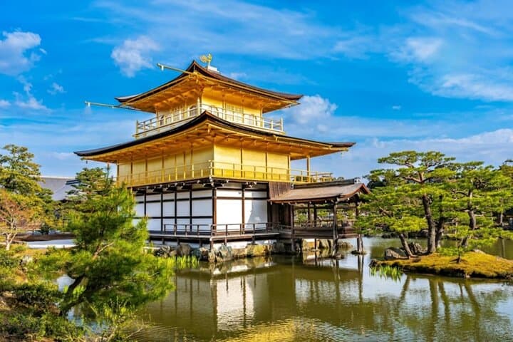 Explore Japan in 7 Days Cherry Blossom Tour 2026 — photo 13