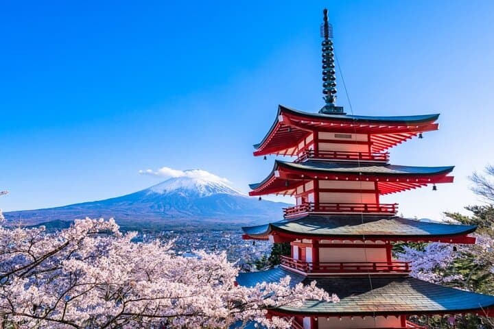 Explore Japan in 7 Days Cherry Blossom Tour 2026 — photo 4