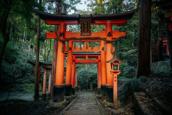 Kyoto and Nara Small Group Tour from Osaka — photo 6